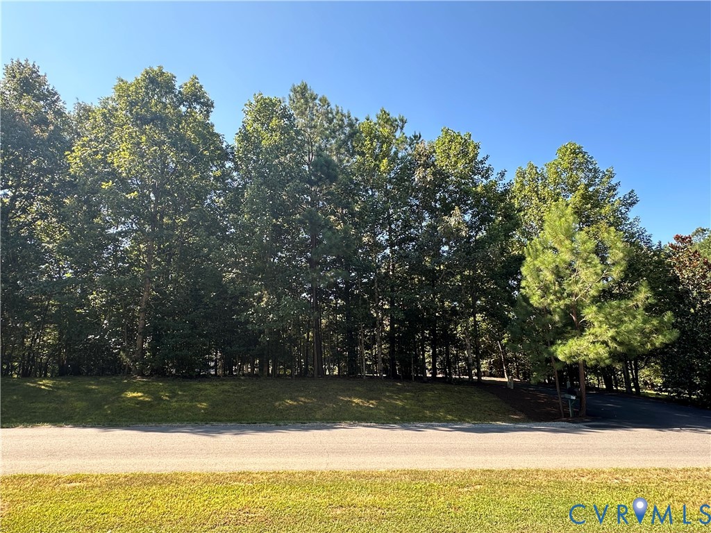 2515 Crest Hollow Court