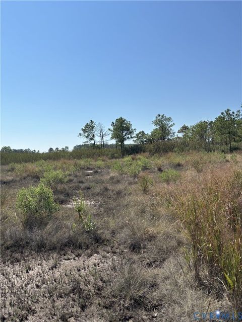 Tiny photo for 0000 Margaret Lyell Road, Hayes, VA 23072 (MLS # 2529785)