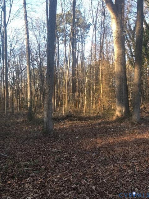 Tiny photo for Lot 6 Old Cox Road, Blackstone, VA 23824 (MLS # 2617512)