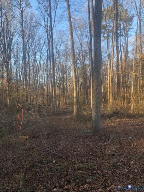 Tiny photo for Lot 6 Old Cox Road, Blackstone, VA 23824 (MLS # 2617512)