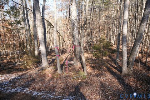 Tiny photo for 0 Slate River Mill Road, Buckingham, VA 23921 (MLS # 2601982)