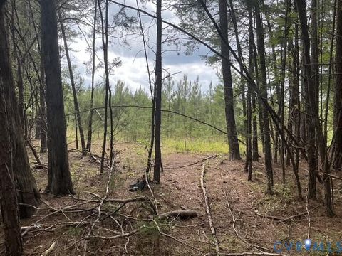 Tiny photo for 17-39A Wendy Lane Street, Amelia, VA 23002 (MLS # 2618302)
