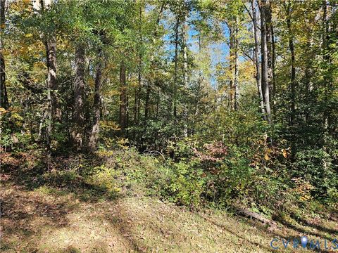 Photo of 2614 Perkinsville Road, Maidens, VA 23102 (MLS # 2529592)