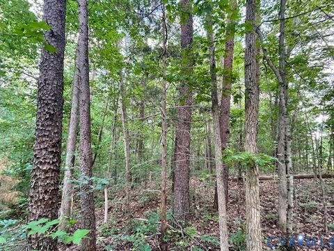 Tiny photo for 0 Sims Road, Cumberland, VA 23040 (MLS # 2610439)