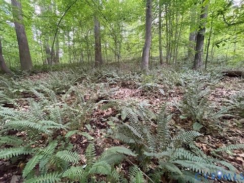 Tiny photo for 0 Sims Road, Cumberland, VA 23040 (MLS # 2610439)