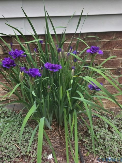 Tiny photo for 2047 Philbunny Court, Mechanicsville, VA 23111 (MLS # 2617954)