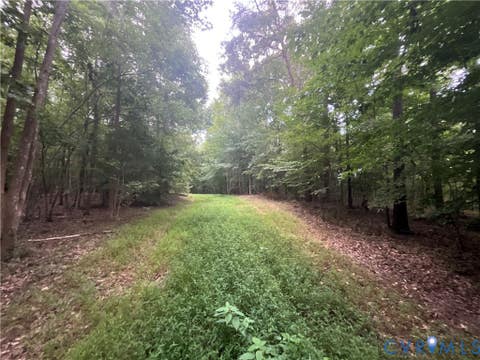 Tiny photo for XX Rocky Ford Road, Jetersville, VA 23083 (MLS # 2622397)