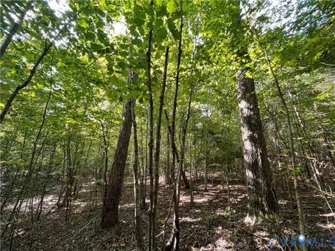 Tiny photo for XX Rocky Ford Road, Jetersville, VA 23083 (MLS # 2622397)