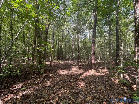 Tiny photo for XX Rocky Ford Road, Jetersville, VA 23083 (MLS # 2622397)
