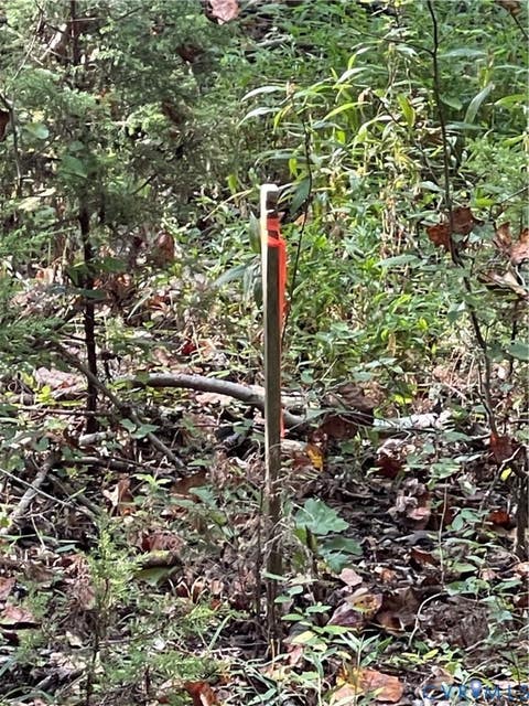 Tiny photo for XX Rocky Ford Road, Jetersville, VA 23083 (MLS # 2622397)