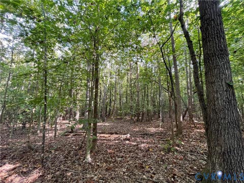 Tiny photo for XX Rocky Ford Road, Jetersville, VA 23083 (MLS # 2622397)