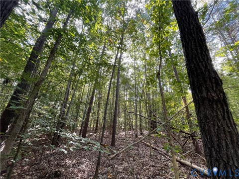 Tiny photo for XX Rocky Ford Road, Jetersville, VA 23083 (MLS # 2622397)