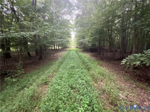 Tiny photo for XX Rocky Ford Road, Jetersville, VA 23083 (MLS # 2622397)