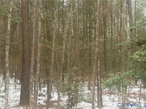 Photo of TBD Sandy Point, Charles City, VA 23030 (MLS # 2602929)