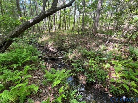 Tiny photo for 0 Youngstown Road, Goochland, VA 23063 (MLS # 2600755)