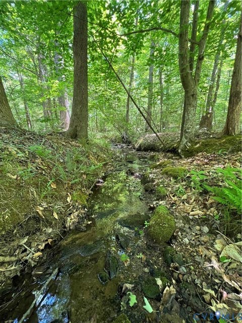 Tiny photo for 0 Youngstown Road, Goochland, VA 23063 (MLS # 2600755)