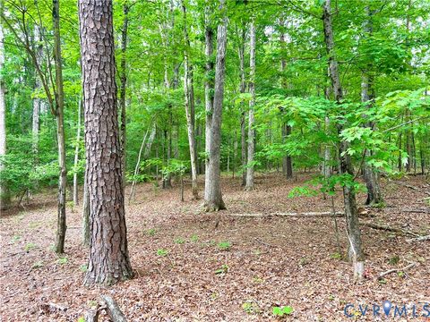 Tiny photo for 6815 Beaver Pond Creek Road, Amelia Courthouse, VA 23002 (MLS # 2611504)