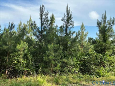 Tiny photo for 0 FORTUNE (48 Acres) Drive, Bowling Green, VA 22514 (MLS # 2618943)