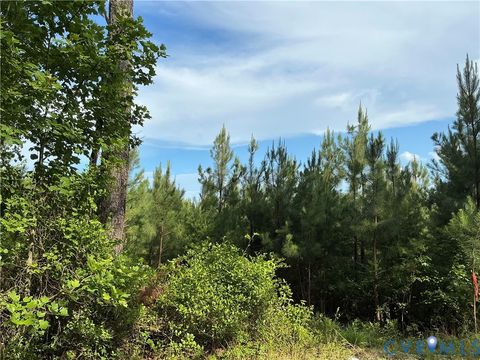 Photo of 0 FORTUNE (48 Acres) Drive, Bowling Green, VA 22514 (MLS # 2618943)