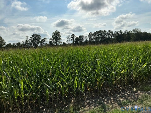 Tiny photo for 0 FORTUNE (48 Acres) Drive, Bowling Green, VA 22514 (MLS # 2618943)