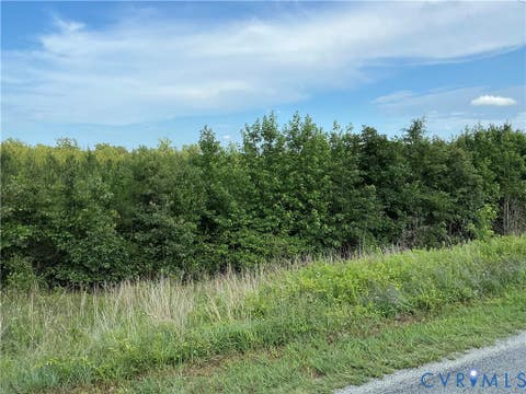 Tiny photo for 0 FORTUNE (48 Acres) Drive, Bowling Green, VA 22514 (MLS # 2618943)