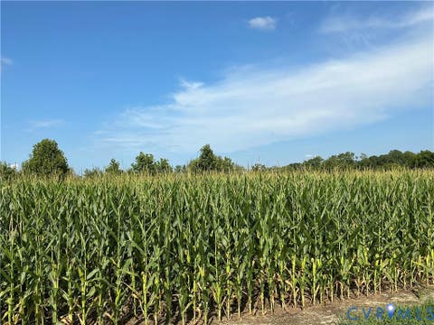 Tiny photo for 0 FORTUNE (48 Acres) Drive, Bowling Green, VA 22514 (MLS # 2618943)
