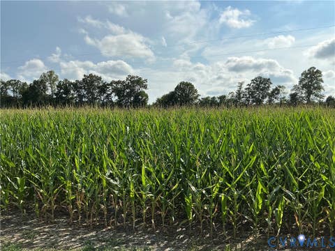 Tiny photo for 0 FORTUNE (48 Acres) Drive, Bowling Green, VA 22514 (MLS # 2618943)