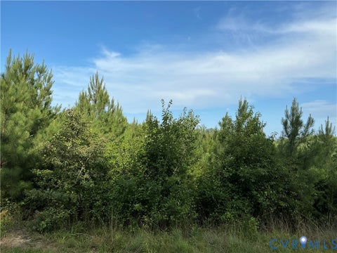 Tiny photo for 0 FORTUNE (48 Acres) Drive, Bowling Green, VA 22514 (MLS # 2618943)