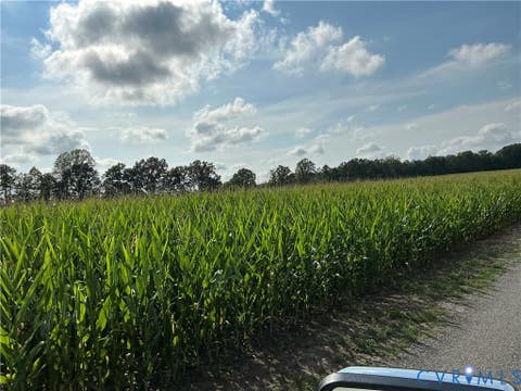Tiny photo for 0 FORTUNE (48 Acres) Drive, Bowling Green, VA 22514 (MLS # 2618943)