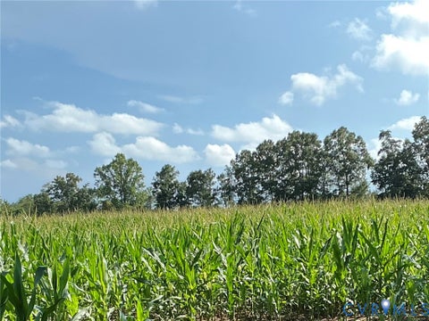 Tiny photo for 0 FORTUNE (48 Acres) Drive, Bowling Green, VA 22514 (MLS # 2618943)