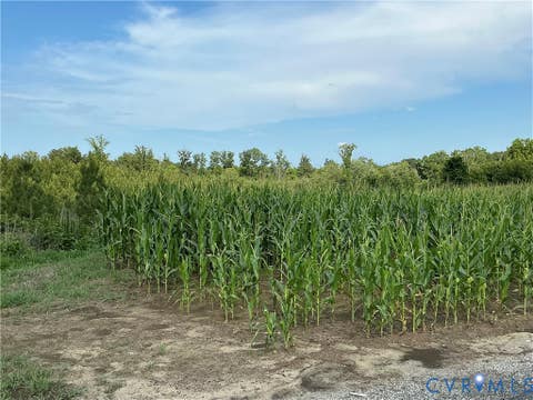 Tiny photo for 0 FORTUNE (48 Acres) Drive, Bowling Green, VA 22514 (MLS # 2618943)
