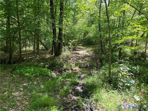 Tiny photo for 00 Youngstown Road, Goochland, VA 23063 (MLS # 2600758)