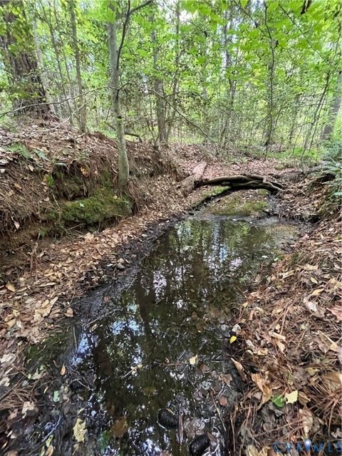 Tiny photo for 00 Youngstown Road, Goochland, VA 23063 (MLS # 2600758)