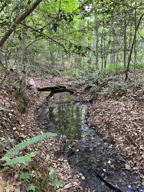 Tiny photo for 00 Youngstown Road, Goochland, VA 23063 (MLS # 2600758)