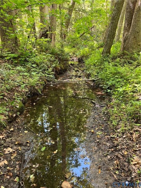 Tiny photo for 00 Youngstown Road, Goochland, VA 23063 (MLS # 2600758)