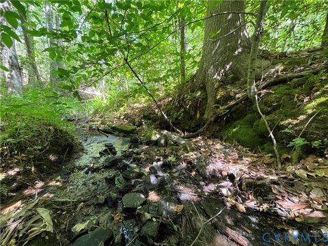 Tiny photo for 00 Youngstown Road, Goochland, VA 23063 (MLS # 2600758)