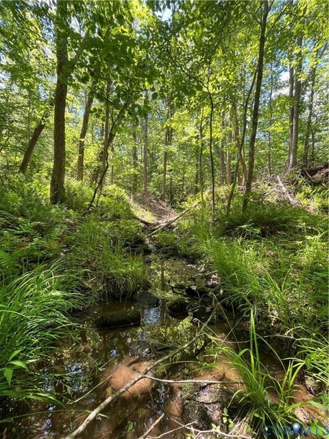 Tiny photo for 00 Youngstown Road, Goochland, VA 23063 (MLS # 2600758)