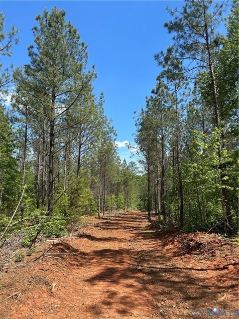 Tiny photo for 00 Youngstown Road, Goochland, VA 23063 (MLS # 2600758)