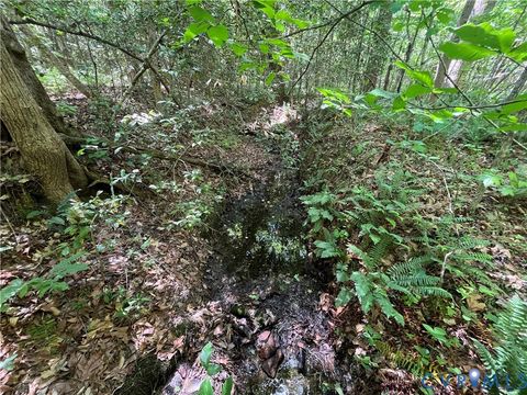 Tiny photo for 00 Youngstown Road, Goochland, VA 23063 (MLS # 2600758)