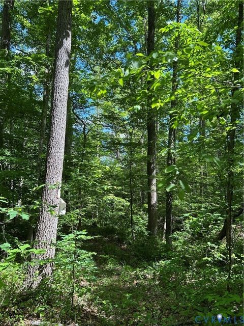 Tiny photo for 00 Youngstown Road, Goochland, VA 23063 (MLS # 2600758)
