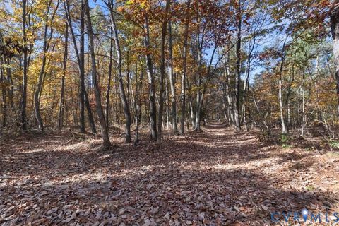 Tiny photo for 1206 Chopping Road, Mineral, VA 23117 (MLS # 2530466)