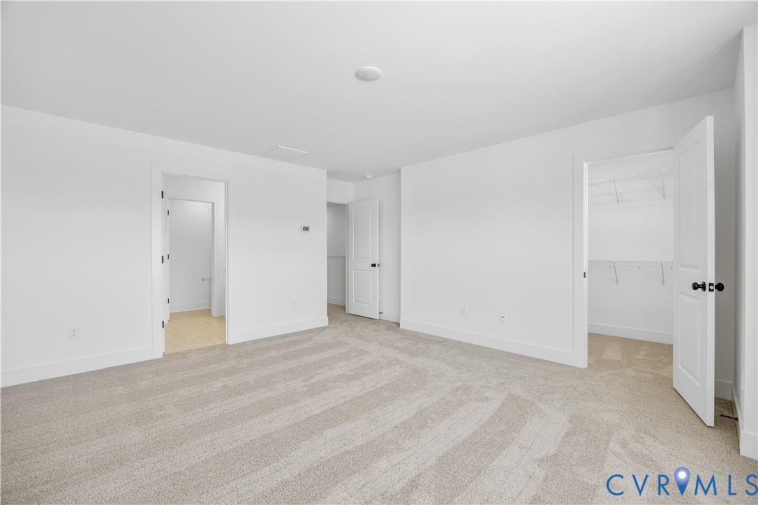 12049 Flowering Lavender Loop