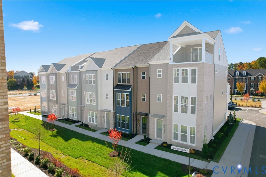 12049 Flowering Lavender Loop