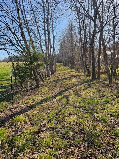 13 Acres Pridesville Road Amelia VA 23002