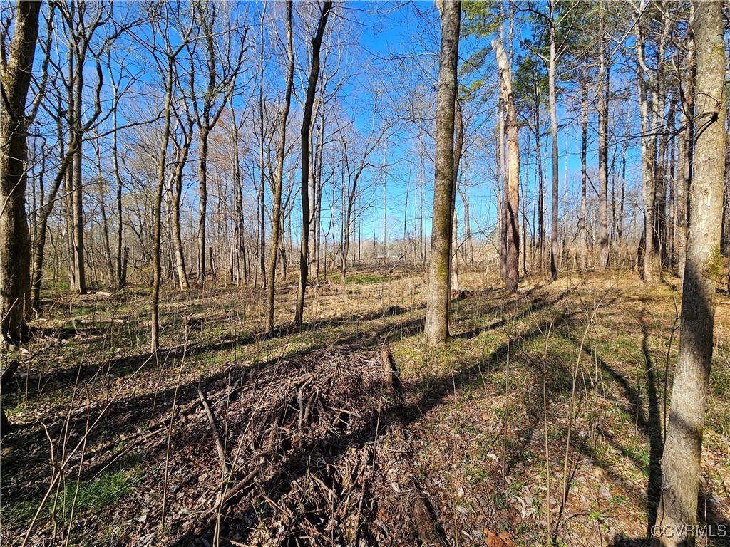 13 Acres Pridesville Road