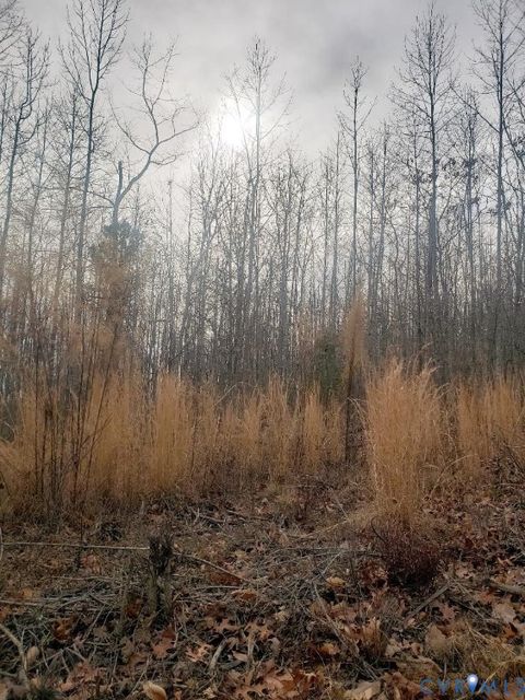 Photo of Lot 14 Mountain Creek Rd, Green Bay, VA 23942 (MLS # 2532758)