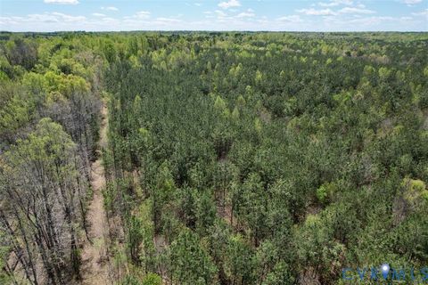 Tiny photo for 600 Mountain Hall Road, Crewe, VA 23930 (MLS # 2530106)