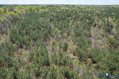 Tiny photo for 600 Mountain Hall Road, Crewe, VA 23930 (MLS # 2530106)