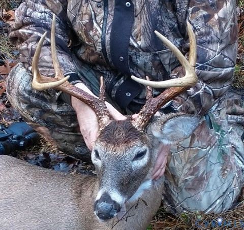 Tiny photo for 600 Mountain Hall Road, Crewe, VA 23930 (MLS # 2530106)