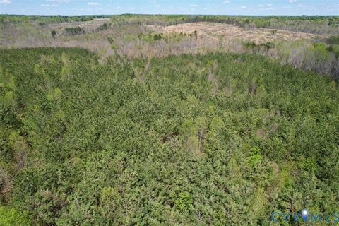 Tiny photo for 600 Mountain Hall Road, Crewe, VA 23930 (MLS # 2530106)